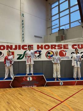 Tea Gojić 3. mesto v borbah ml.kadetinj nad 52kg